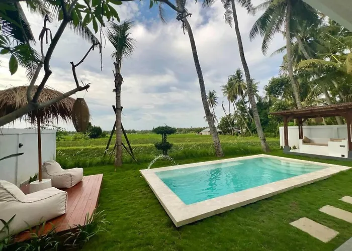 Padi-padi Pool *