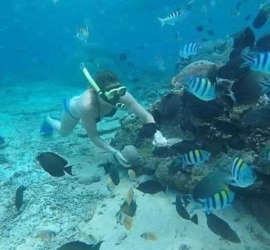 Padi-padi Pool Trunyan