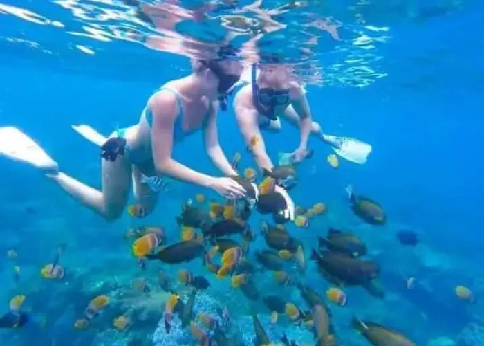 Padi-padi Pool Villa